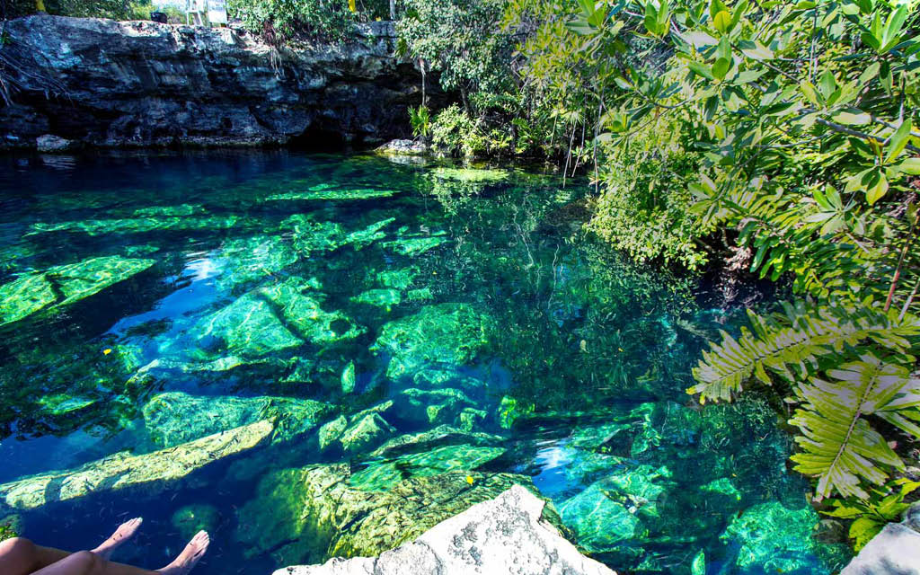 Cenote en Riviera Maya