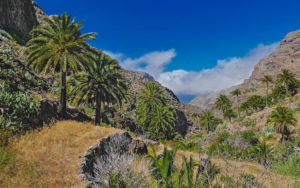 Tenerife-La Gomera es uno de los viajes entre Islas Canarias más recomendados