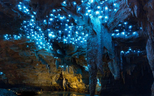 Cueva de las luciérnagas en Waitomo
